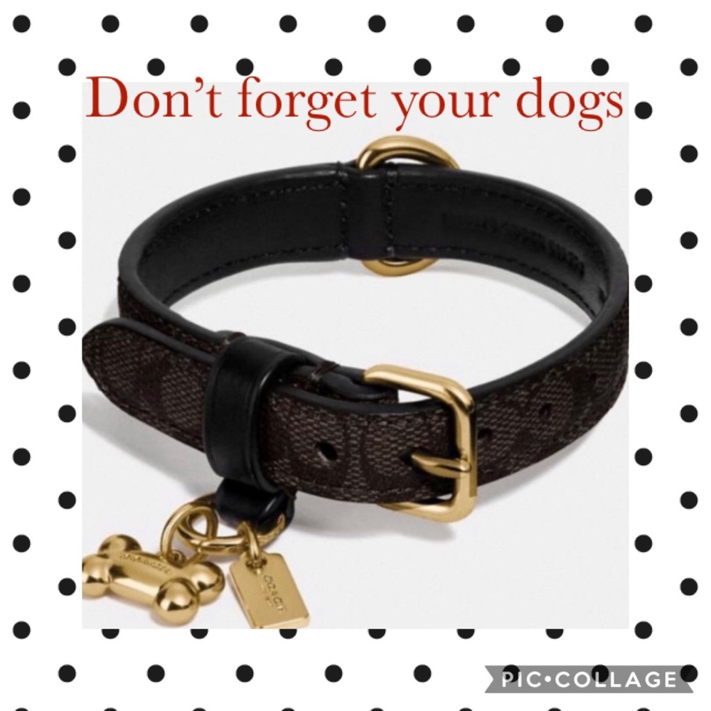 Coach Dog Collar Large